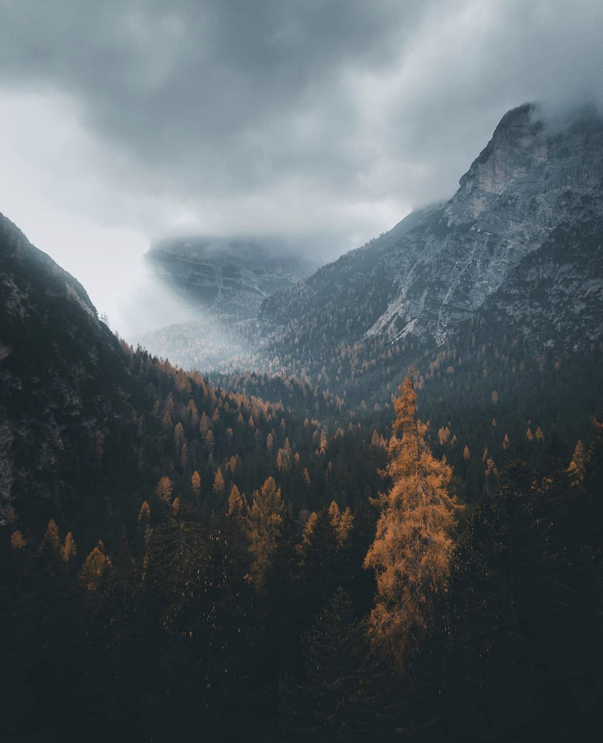 Source: http://whanderlost.tumblr.com