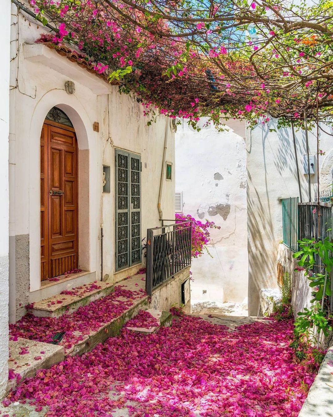 Source: http://icharous.tumblr.com