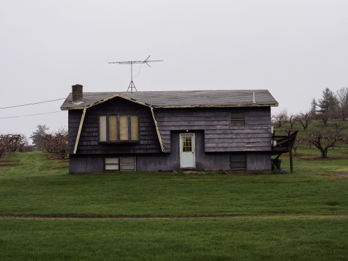 Source: http://dispelzine.tumblr.com