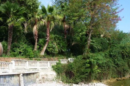 Source: http://tropic-havens.tumblr.com