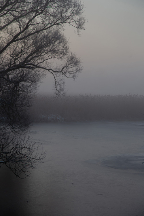 Source: http://motivationsforlife.tumblr.com