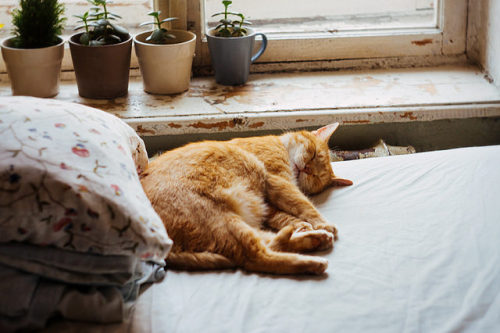 Source: http://tsukikages.tumblr.com