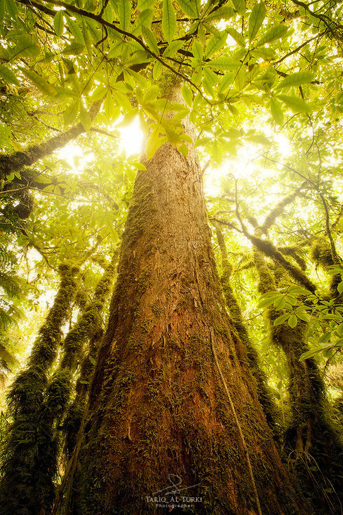 Source: http://etherealvistas.tumblr.com