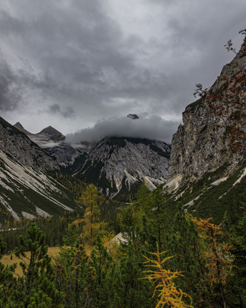 Source: http://nature-hiking.tumblr.com