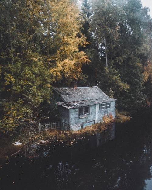 Source: http://junglerain.tumblr.com