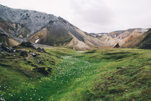 Source: http://losttindxmoon.tumblr.com