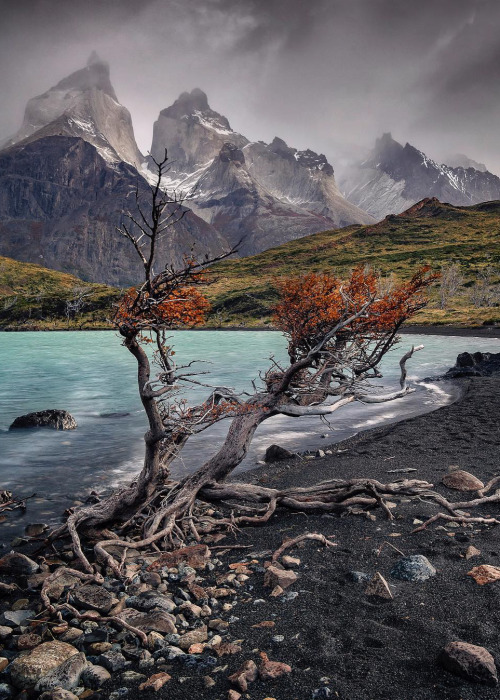 Source: http://coiour-my-world.tumblr.com