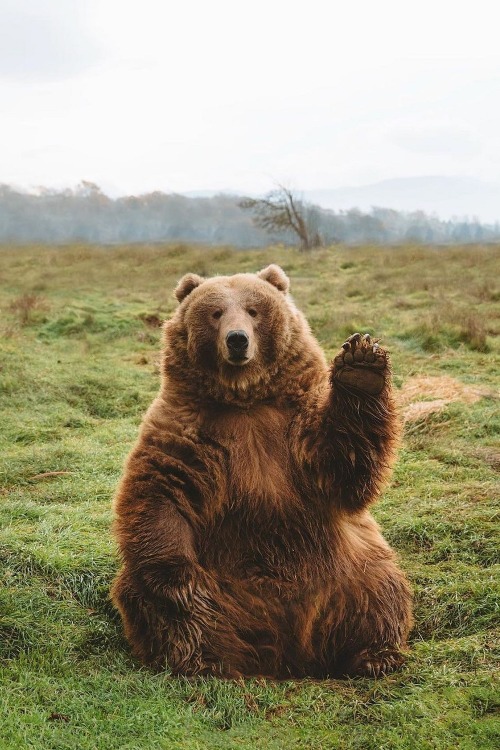 Source: http://alecsgrg.tumblr.com