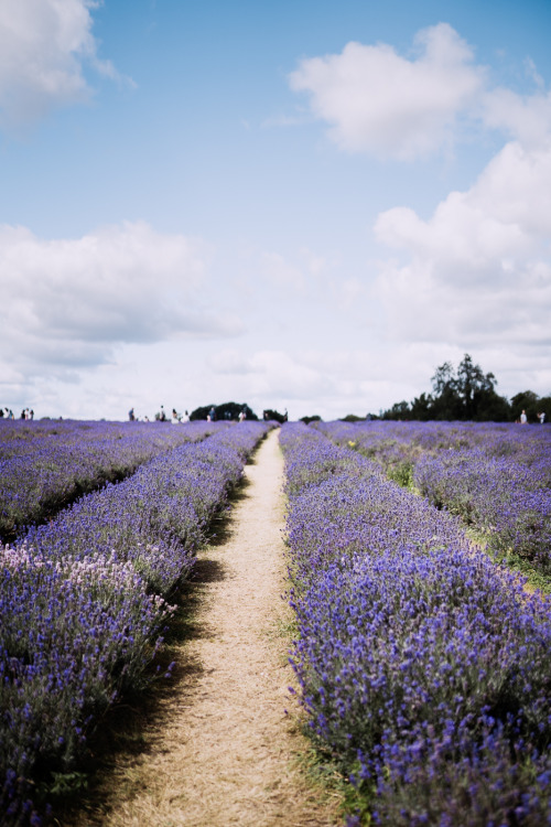 Source: http://solar-bar.tumblr.com