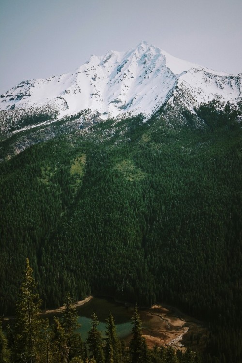 Source: http://a-fricaa.tumblr.com