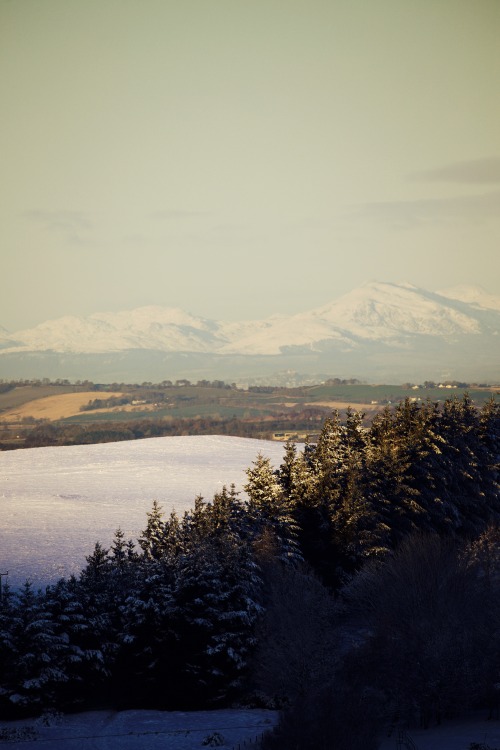 Source: http://kylebonallo.tumblr.com