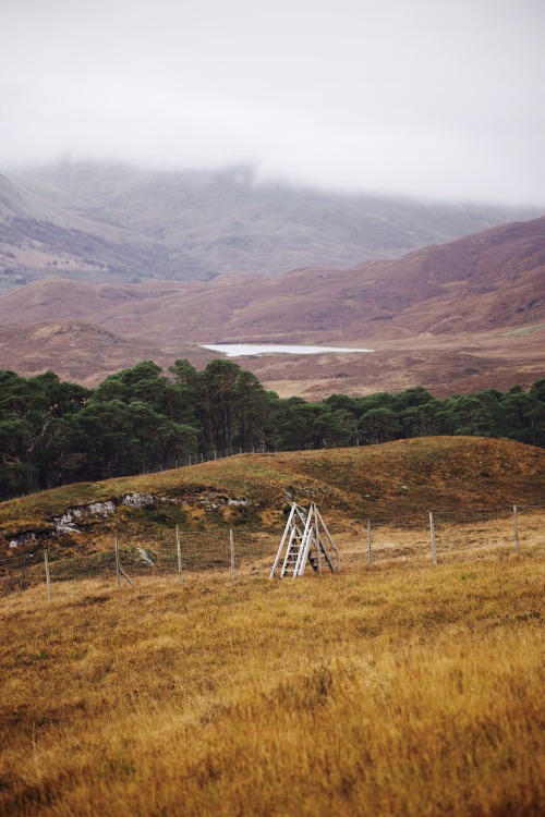 Source: http://kylebonallo.tumblr.com