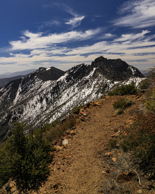 Source: http://satakentia.tumblr.com