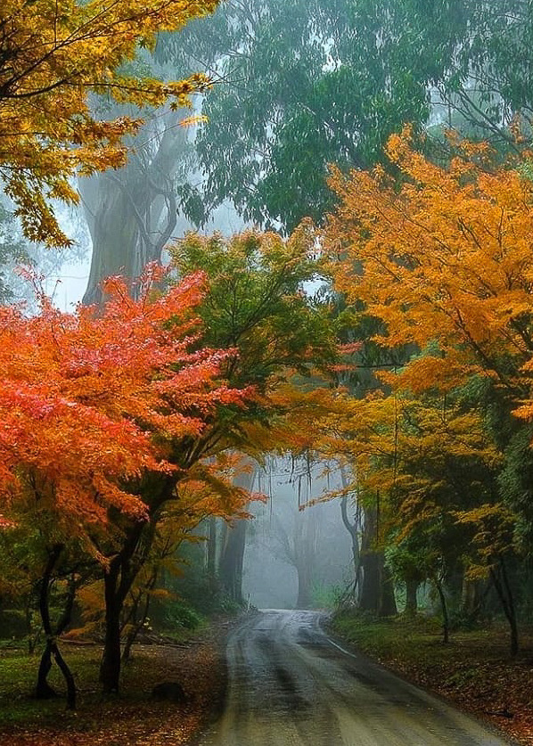 Source: http://worldtalks.tumblr.com