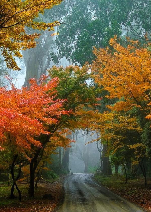 Source: http://worldtalks.tumblr.com