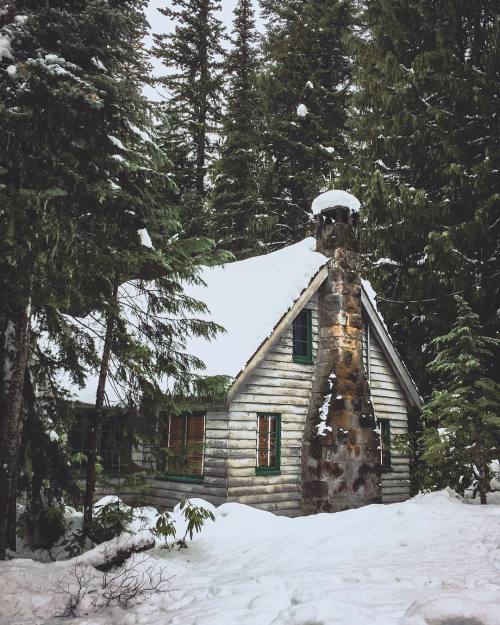 Source: http://junglerain.tumblr.com