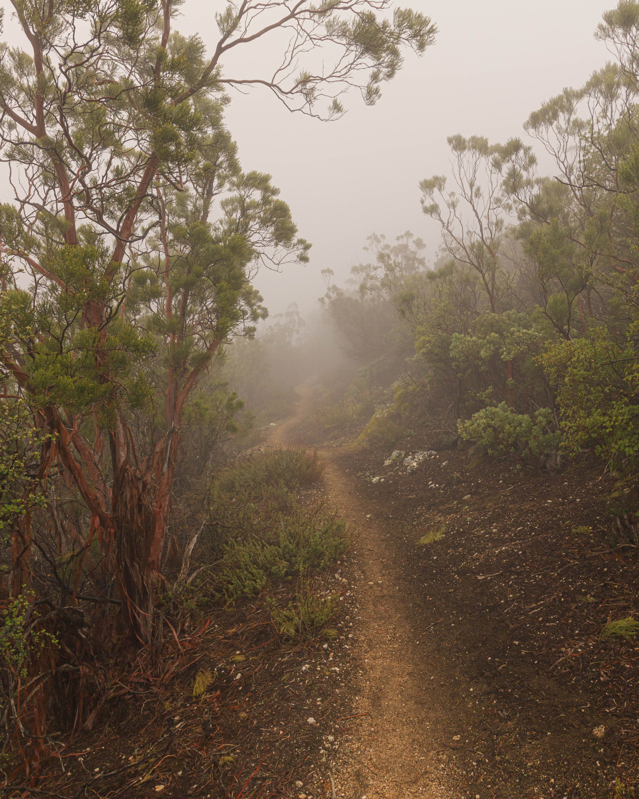 Source: http://nature-hiking.tumblr.com