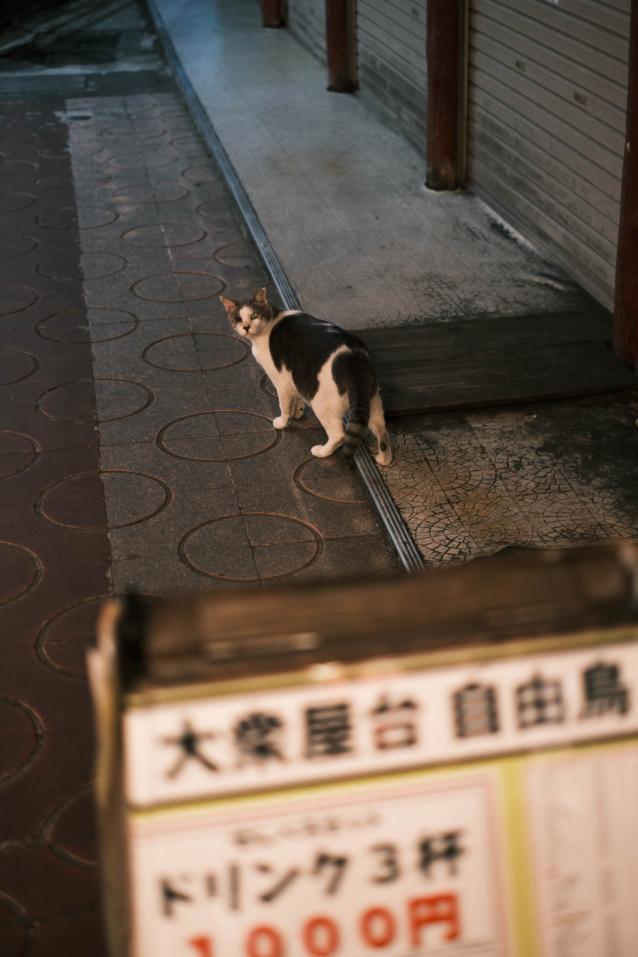 Source: http://tsukikages.tumblr.com