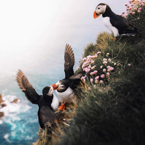 Source: http://alisaineurope.tumblr.com