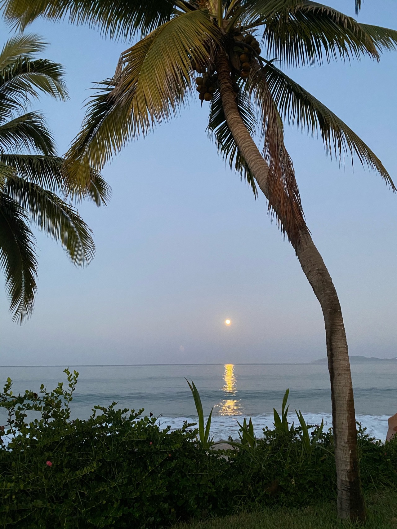 Source: http://therealbohemian.tumblr.com