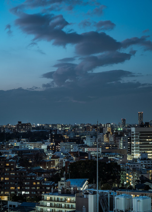 Source: http://tsukikages.tumblr.com