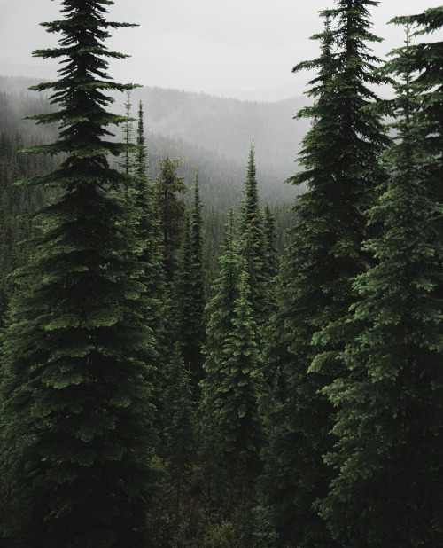 Source: http://losttindxmoon.tumblr.com