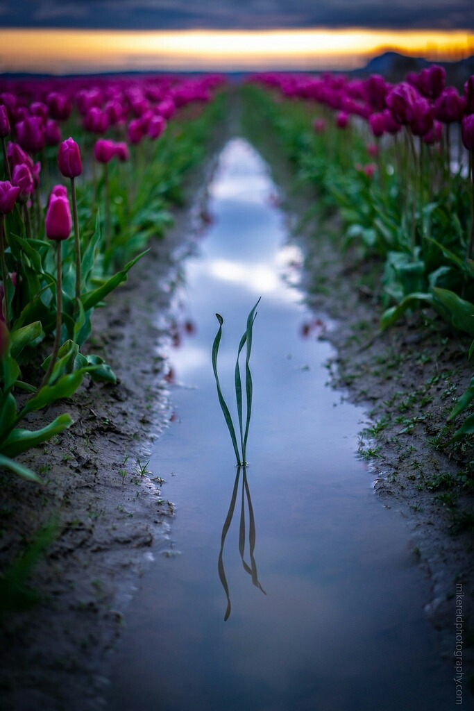 Source: http://j-k-i-ng.tumblr.com