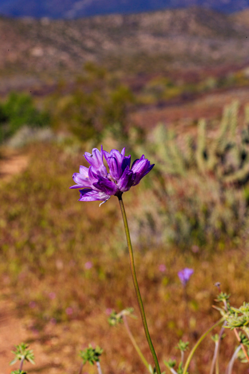 Source: http://nature-hiking.tumblr.com