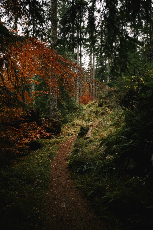 Source: http://kylebonallo.tumblr.com