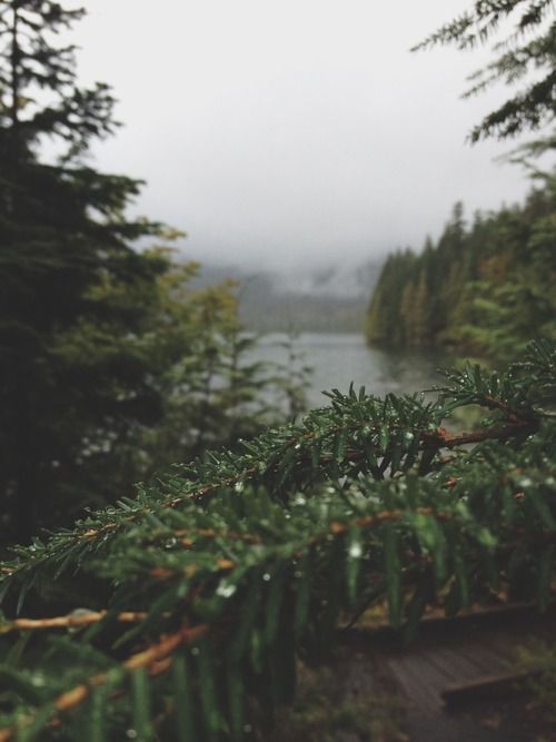 Source: http://a-fricaa.tumblr.com