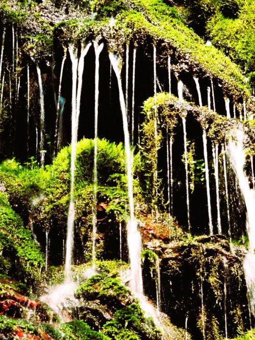 Source: http://dream-world-universe.tumblr.com