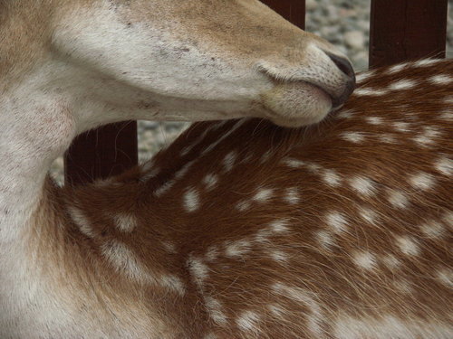 Source: http://solar-bar.tumblr.com