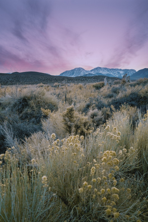 Source: http://junglerain.tumblr.com