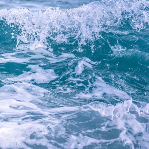 Source: http://tropic-havens.tumblr.com