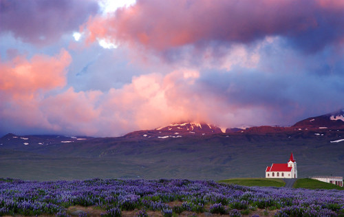 Source: http://expressions-of-nature.tumblr.com