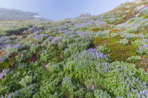 Source: http://expressions-of-nature.tumblr.com