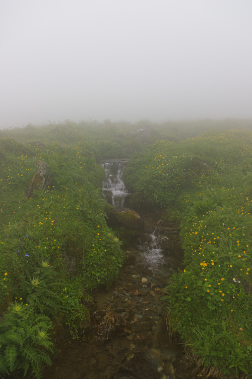 Source: http://nature-hiking.tumblr.com