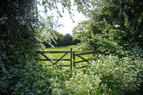 Source: http://faeriegardens.tumblr.com