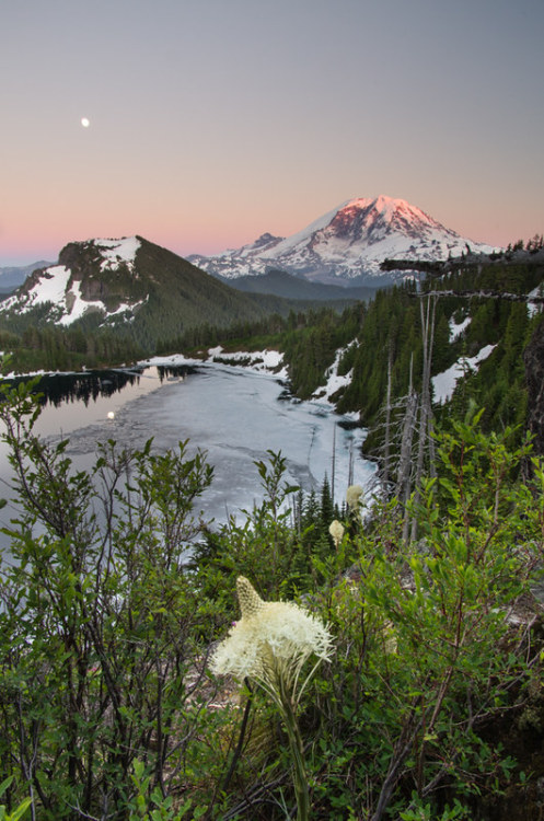 Source: http://ponderation.tumblr.com