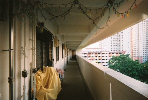 Source: http://tsukikages.tumblr.com