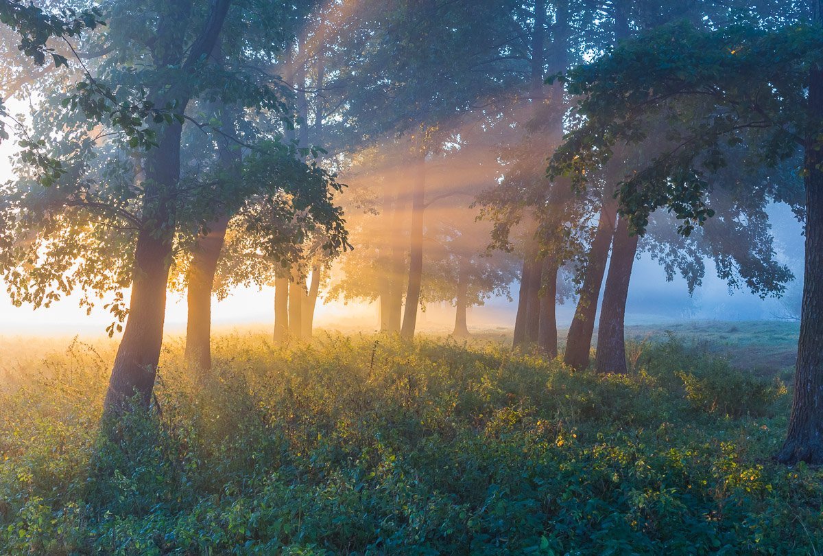 Source: http://expressions-of-nature.tumblr.com