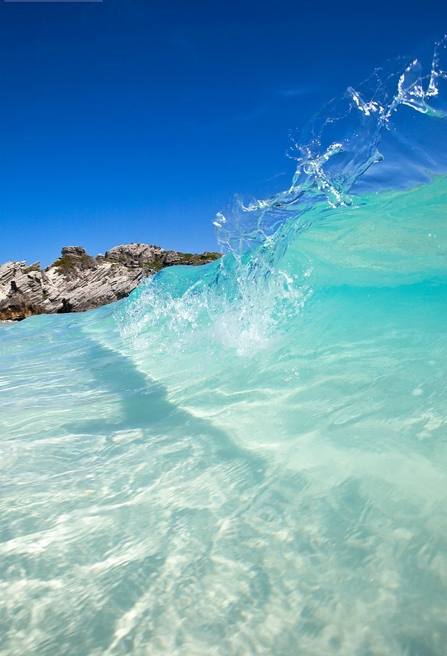 Source: http://tropic-havens.tumblr.com