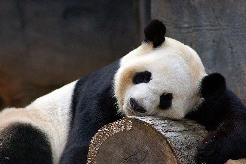 Source: http://solar-bar.tumblr.com