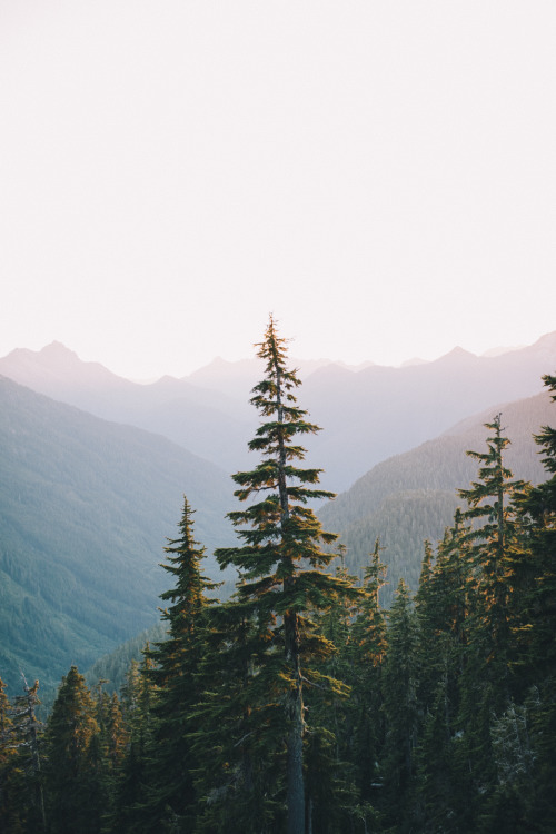 Source: http://therealbohemian.tumblr.com