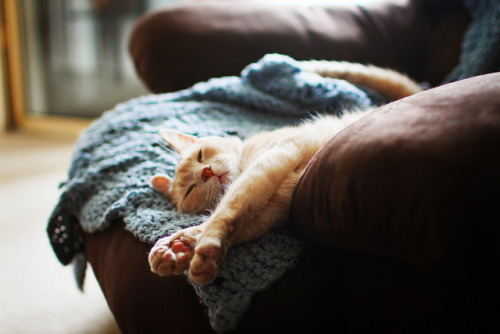 Source: http://deletingmyself.tumblr.com