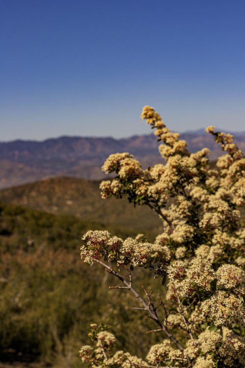 Source: http://nature-hiking.tumblr.com