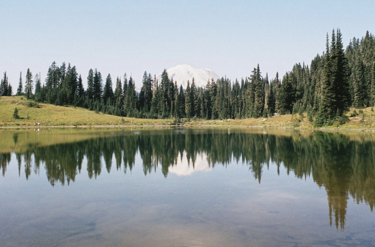 Source: http://losttindxmoon.tumblr.com