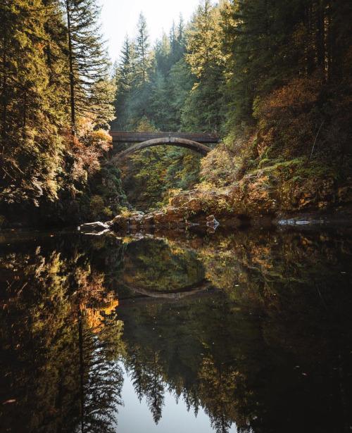 Source: http://a-fricaa.tumblr.com