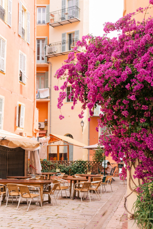 Source: http://alisaineurope.tumblr.com