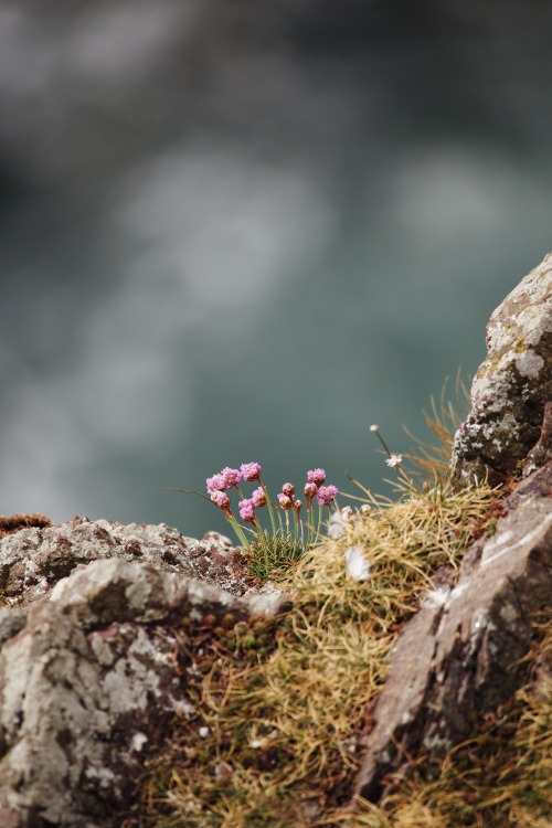 Source: http://kylebonallo.tumblr.com